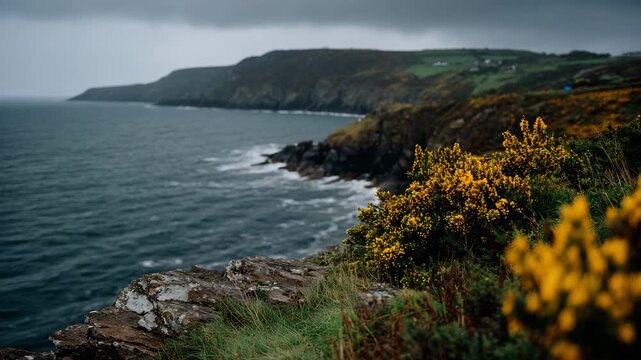A breathtaking coastal landscape presenting a dramatic view of cliffs alongside a turbulent sea, accentuated by vibrant gorse flowers blooming along the shore.