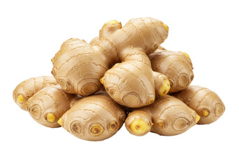 Pile of fresh ginger roots isolated, Zingiber officinale rhizomes for cooking and herbal medicine on transparent background