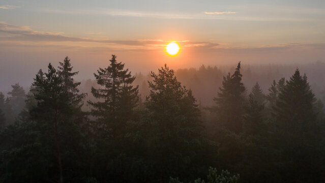 Aerial view of the sun piercing through the misty forest canopy, painting the sky with soft hues of dawn, Raasepori, Uusimaa, Finland.