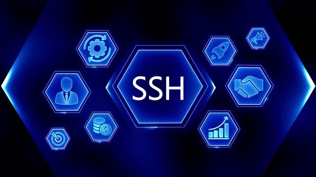 Secure Remote Access Technology S H Network Security Business Growth Icons Digital Transformation Concept