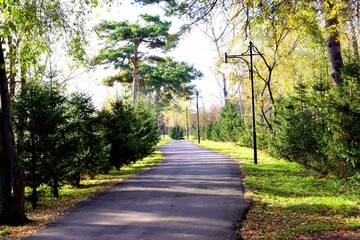 path in the park