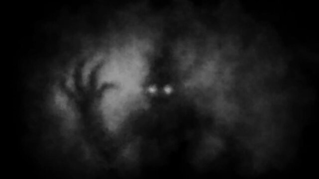 Dark horror 2D animation for Halloween. Haunted places, eerie figures, flashing lights, and ghostly shadows. Camera shake and fog effects. Scary night atmosphere. Vj loops. Black and white background.