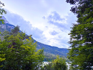 Panorama from the thickets of the mountain forest of the crystal clear Alpsee lake against the background of the surrounding forest hills under a cloudy sky on the horizon.