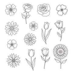 Elegant Floral Line Art Collection - A Variety of Botanical Illustrations.