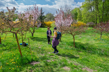 A couple enjoys a beautiful spring day in a vibrant park with blooming trees and green grass, capturing memories with a smartphone. Leisurely outdoor activity.