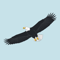 Obraz premium Majestic Bald Eagle in Flight with Wings Spread Wide.