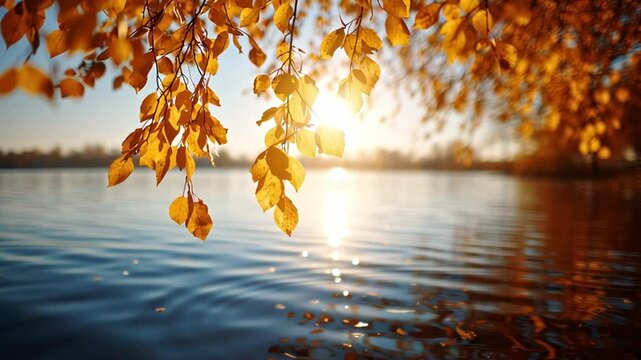 Bright golden leaves hang above a peaceful lake, their reflections dancing on the water's surface as the sun sets, casting warm hues across the autumn landscape.