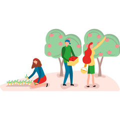 People Harvesting Apples And Vegetables In An Orchard With Lush Green Trees And Red Fruits Under Natural Daylight