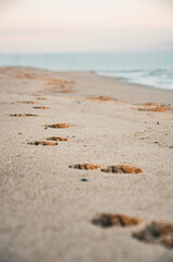 Footprints in Soft Sand Leading Towards the Blurry Ocean Shoreline at Dusk