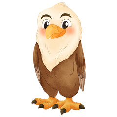 watercolor clipart collection features a variety of exotic and safari birds