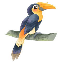 watercolor clipart collection features a variety of exotic and safari birds