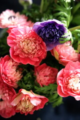 아네모네 꽃 Anemone flower