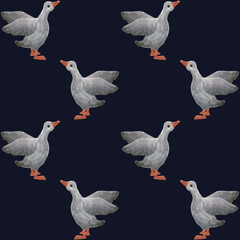 Two gray geese, painted in a delicate watercolor style. They are arranged diagonally, one higher, the other lower, as if in a smooth movement or a light dance.