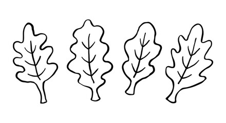 Simple Black and White Leaves