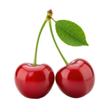 Two vibrant, glossy, plump red cherries with green stems and a fresh leaf, isolated on a transparent background with subtle shadow, UHD product photography concept of fresh fruit and natural