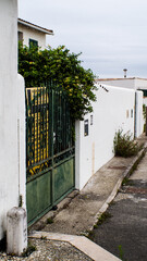 Paysages de l'île de Ré
