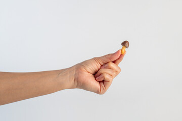 Small chocolate chip cookies in hand on white background