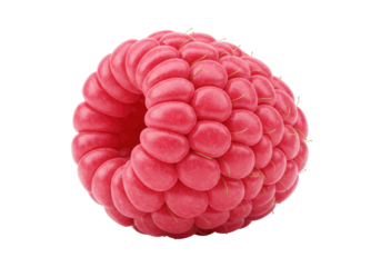 Fresh raspberry isolated on transparent background, close-up view of ripe red berry fruit for healthy eating and summer dessert