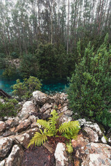 Cold Clear Water in Southern Tasmania