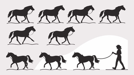 Fototapeta premium Horse Training Progression Sequence for Equestrian Education, Animal Care Websites, Sports Performance Analysis, and Veterinary Clinics, Showing Movement and Skill Development