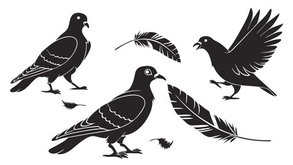 Obraz premium Pigeons and Feathers Silhouette for Nature, Wildlife, and Urban Life Designs, Evoking Freedom and Serenity for Websites and Print