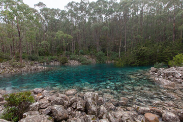 Cold Clear Water in Southern Tasmania