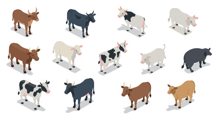 Obraz premium Isometric cattle collection: diverse breeds and colors in modern design