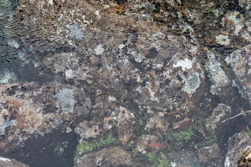 Cold Clear Water in Southern Tasmania