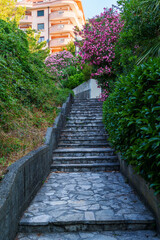 path with stairs surrounded by flowers to beautiful hotel building, city street view and beautiful architecture
