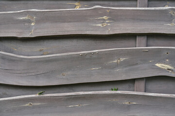 old wooden weathered curved fence