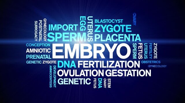 Embryo animated word cloud-text design animation tag kinetic typography seamless loop.