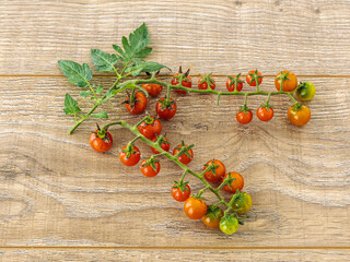 Just picked fresh cherry tomatoes on the wooden background.