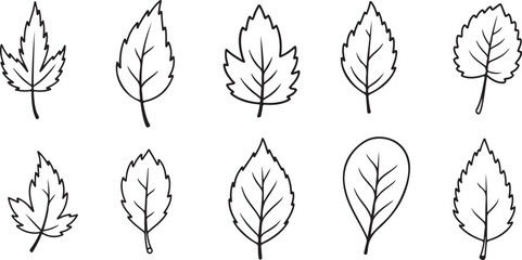Variety of Leaves Line Art Collection | Nature Outline Vector Set

Hand Drawn Leaf Doodles | Black and White Botanical Clipart Pack

Minimalist Tree and Plant Leaf Outlines for Design & Decor
