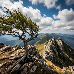 Obraz premium Resilient Tree on Mountain Peak - A Symbol of Strength and Endurance.