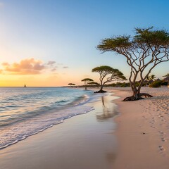 Arubas Serene Eagle Beach at Sunset - Tranquility and Natural Beauty.