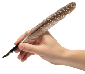 a hand holds an elegant feathered quill pen with a gold nib for writing