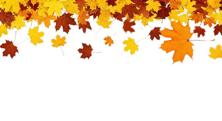 Autumn maple leaves falling from above. A warm and vibrant seasonal backdrop for projects themed around the transition to winter, harvest, and Thanksgiving.
