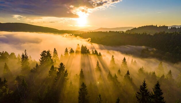 A stunning aerial shot of a vibrant sunrise over a misty forest with sunbeams piercing through the trees. Hues of gold and green - Powered by Adobe