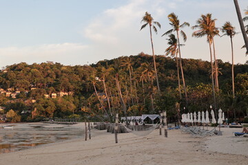 Empty sandy beach with umbrellas by a hotel resort at sunset, with palm trees and dense jungle in the background