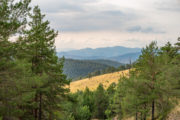 Panoramic view of green forested mountains and valleys under gloomy cloudy sky on natural scenic background.
