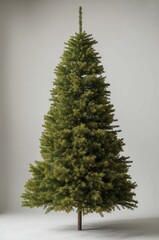 christmas tree in snow