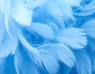 Fototapeta premium A close-up shot shows a cluster of soft, light-blue feathers filling the frame, creating a gentle and fluffy texture
