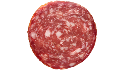 Round slice of salami with marbled texture and fat