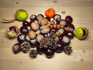 Autumn still life with chestnuts, walnuts, acorns, pine cones and mini pumpkin on wooden table