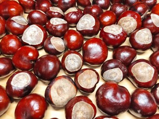 Horse chestnuts (conkers) on wooden background