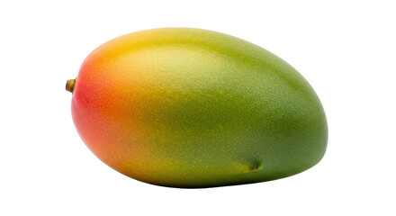 Isolated single ripe mango fruit with shades of green and red on an empty backdrop