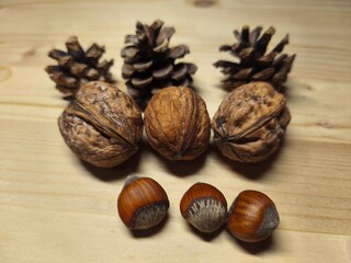 Walnuts, hazelnuts and pine cones on wooden background