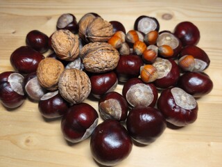 Walnuts and Chestnuts on Wooden Table