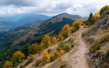 Scenic mountain hiking trail surrounded by vibrant orange and yellow trees during autumn
