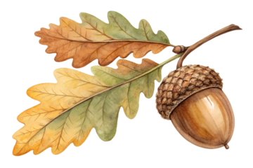 Watercolor love letter envelope with pink heart seal, romantic summer message icon in soft pastel style. Hand painted vector illustration for Valentine’s Day, wedding invitation, friendship note or cu